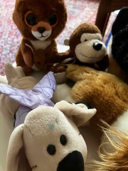 Photo of free Small soft toys 7 (Newington, EH16) #4