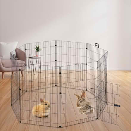 Photo of free Animal run (Shrewsbury) #1