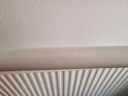 Photo of free Ikea clothes rail (RG4) #3