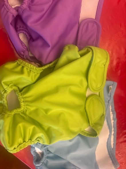 Photo of free Washable dog nappies (Euxton PR7) #1