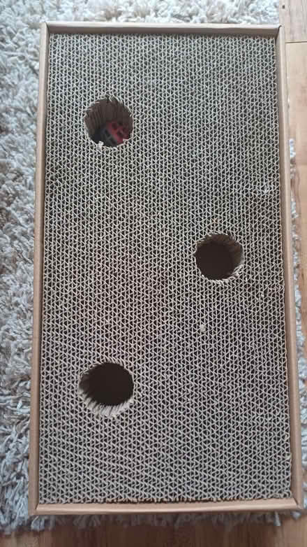 Photo of free Cat scratch toy (Heaton Norris SK4) #2