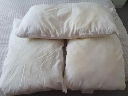 Photo of free Pillows & Single quilt (Arnold NG5) #1