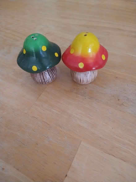 Photo of free mushroom salt and pepper shakers (downtown novato) #1