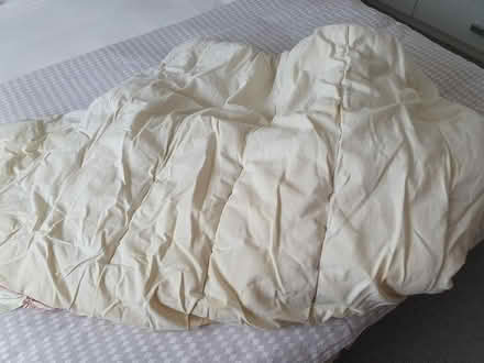 Photo of free Pillows & Single quilt (Arnold NG5) #2