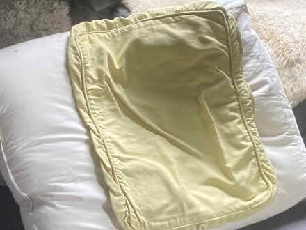 Photo of free Feather cushions (Willey) #4