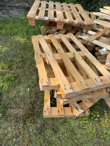 Photo of free Large and small wooden pallets (Purley CR8) #1