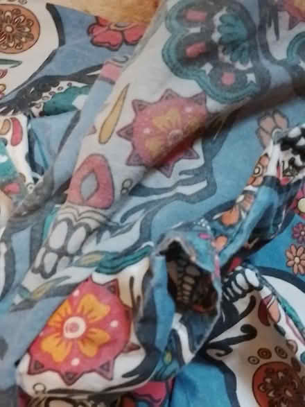 Photo of free King-size bedding (St Leonards TN38) #3