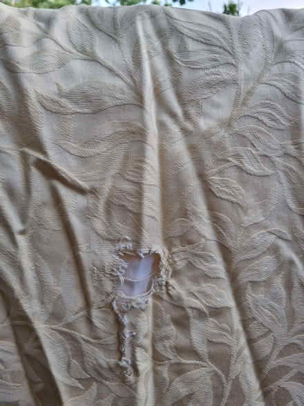 Photo of free Pair Large, Lined Patio Window Curtains. Pale Yellow (HA0) #2