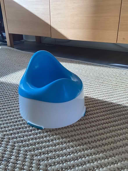 Photo of free Potty (Brockley SE4) #2