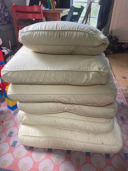 Photo of free Feather cushions (Willey) #1