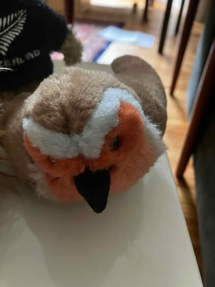 Photo of free Small soft toys 7 (Newington, EH16) #3