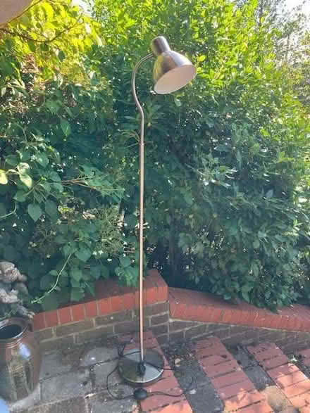 Photo of free Standard Lamp. Flexible head. Foot switch (Horndean PO8) #1