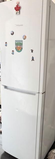 Photo of free Refrigerator with freezer large (Bexley DA1) #1