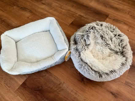 Photo of free Small dog/cat beds (Rancho Rinconada, Cupertino) #1