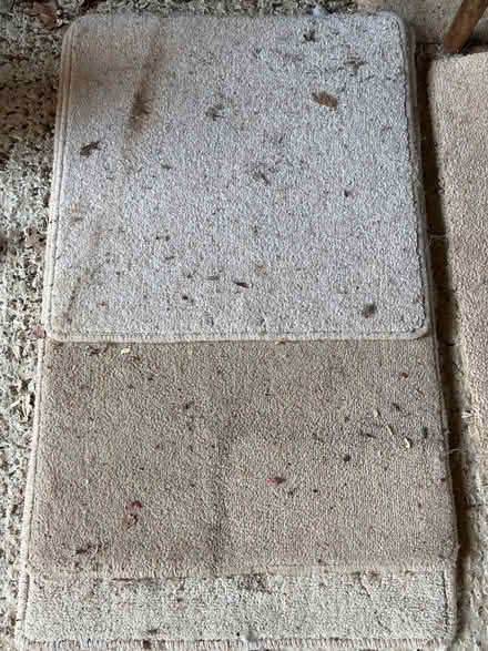Photo of free Carpet Offcuts (IG10 Loughton) #2