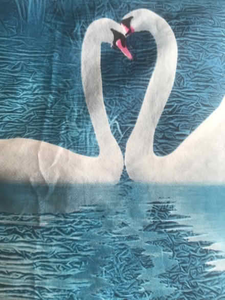 Photo of free Single duvet cover SWAN (South oxhey WD19) #1