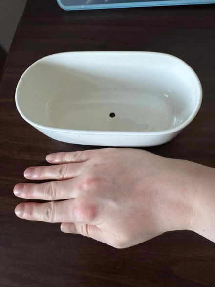 Photo of free White Ceramic Succulent Plant Pot (Upminster Bridge RM14) #1