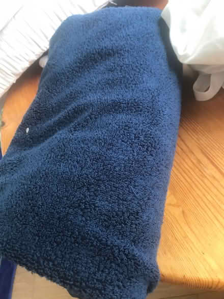 Photo of free Cats or dogs rescue (South oxhey WD19) #1