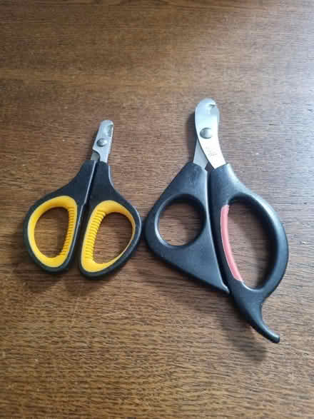 Photo of free Pet claw nail clippers (Coldean BN1) #1