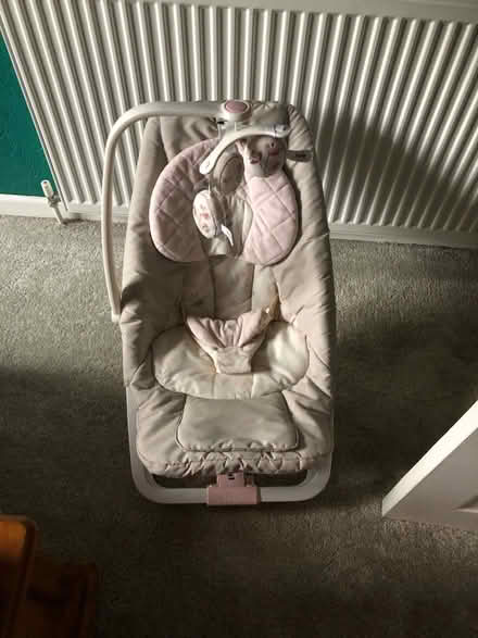 Photo of free Joie baby bouncer (Gracemount EH17) #2