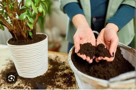 Photo of compost or soil for houseplants (RG2) #1