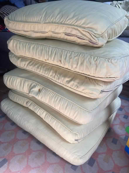 Photo of free Feather cushions (Willey) #2