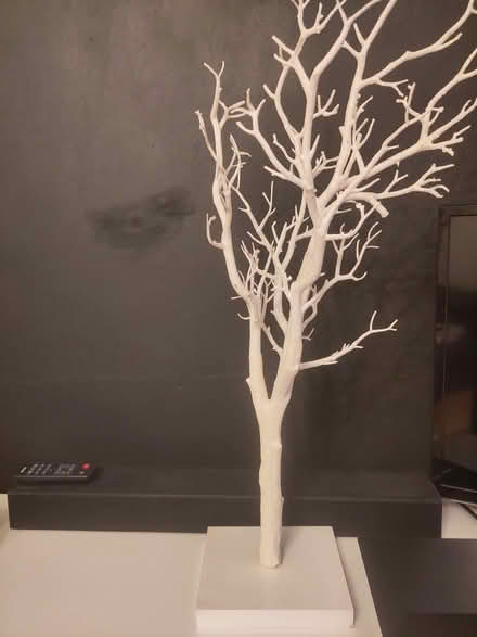 Photo of free Plastic tree (Lings) #1