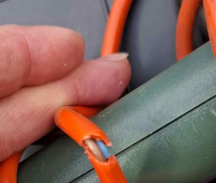 Photo of free Electric strimmer READ FULL DETAILS (Mansfield NG19) #2