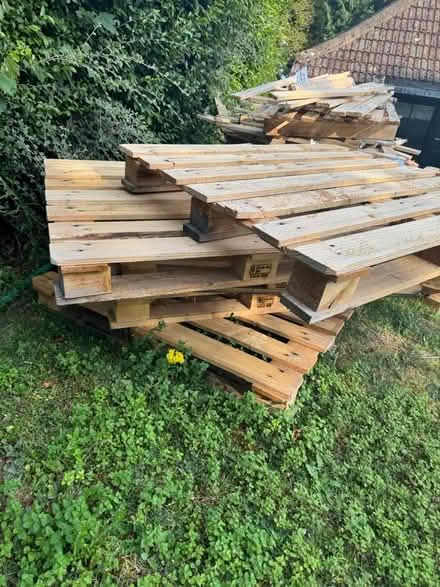 Photo of free Large and small wooden pallets (Purley CR8) #2