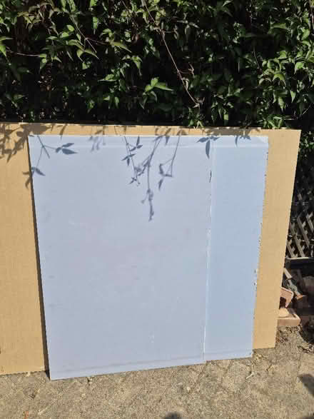 Photo of free Plasterboard (Meersbrook S8) #1