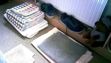 Photo of free towels (taunton) #2