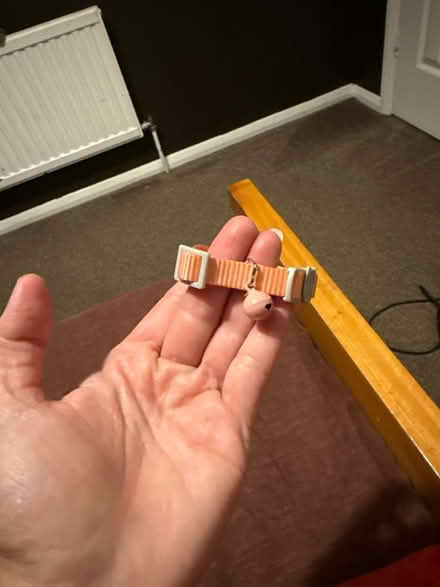 Photo of free Pink Kitten collar, never used (Highams Park) #2