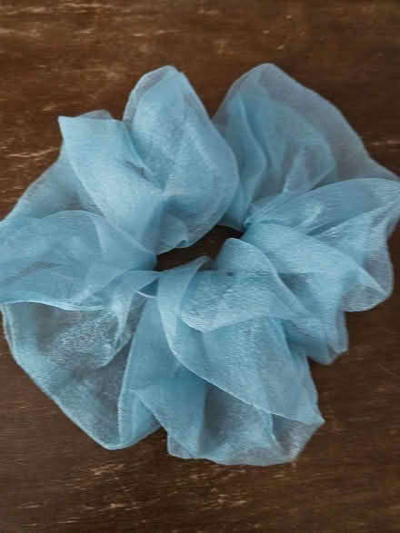 Photo of free Big scrunchie (Near the experimental farm) #1