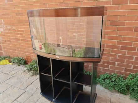 Photo of free Aquarium and cabinet (Greenhill Sheffield S8) #1