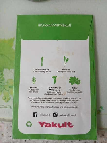 Photo of free Plant & Vegetable Seeds (Turnpike Lane N15) #3