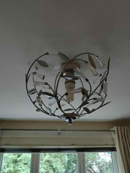 Photo of free Ceiling light shades (EH16, Prestonfield) #2