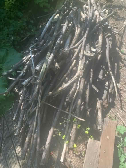 Photo of free Big pile of kindling (Wirksworth) (Brassington DE4) #1