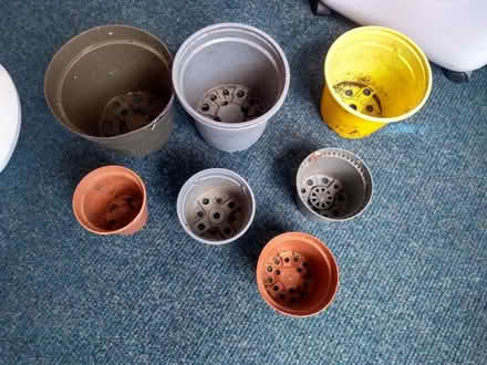 Photo of free Plant Pots (Sharrow S2) #1