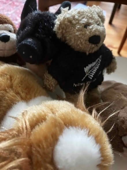 Photo of free Small soft toys 7 (Newington, EH16) #2