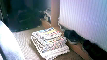 Photo of free towels (taunton) #1