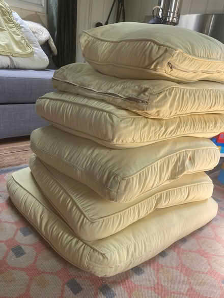 Photo of free Feather cushions (Willey) #3