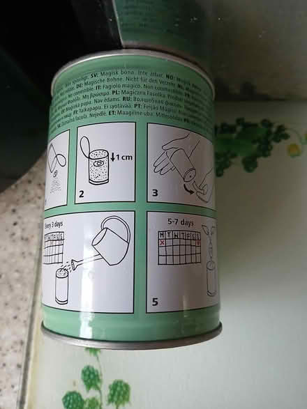 Photo of free Plant & Vegetable Seeds (Turnpike Lane N15) #1