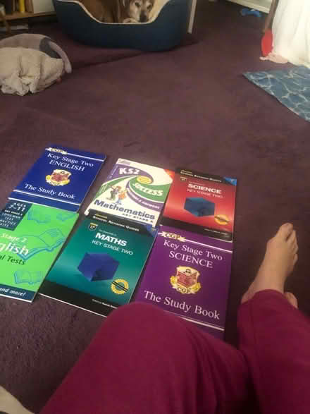 Photo of free Key Stage 2 work Books (Hertford SG14) #1