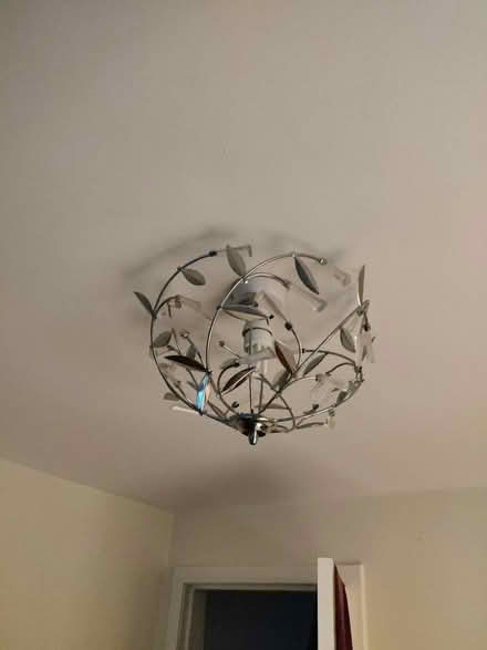 Photo of free Ceiling light shades (EH16, Prestonfield) #1