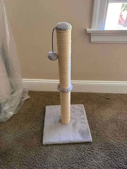 Photo of free New Cat Post (Alameda East End) #1