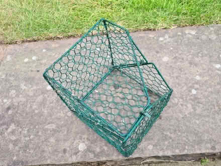 Photo of free Cube Topiary Frame (Lymm WA13) #2