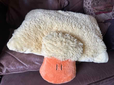 Photo of free Duck Cushion (Frecheville S12) #1