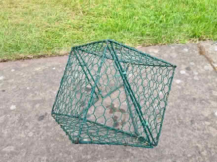Photo of free Cube Topiary Frame (Lymm WA13) #3
