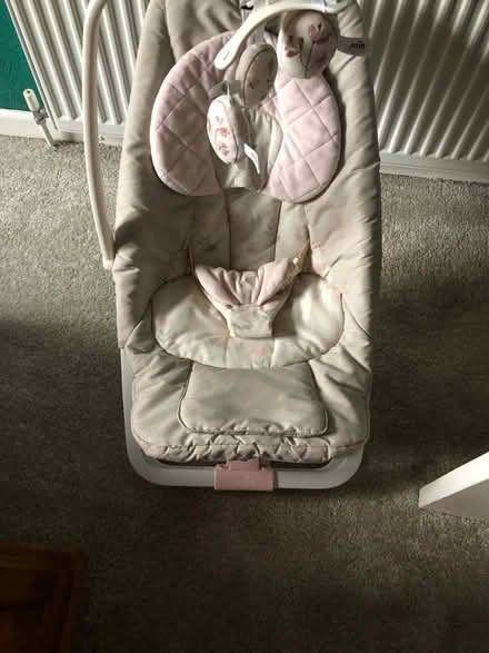 Photo of free Joie baby bouncer (Gracemount EH17) #3