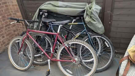 Photo of free Menโs bikes (Chalfont St Peter SL9) #1